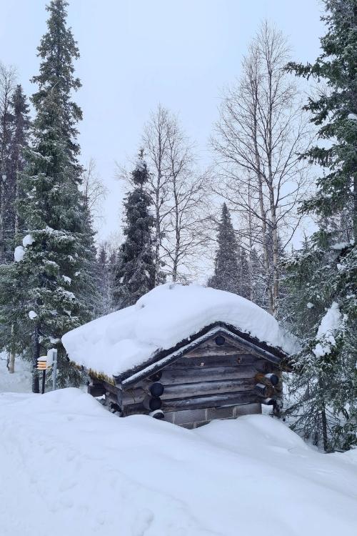 sneeuw lapland