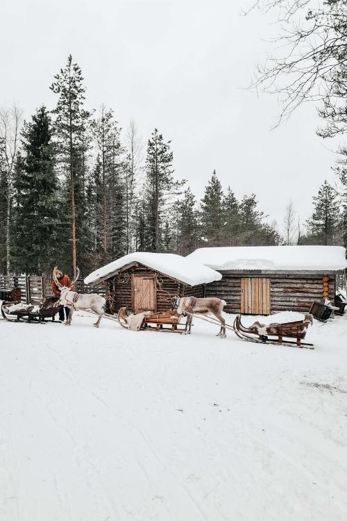 rendierenfarm ruka finland