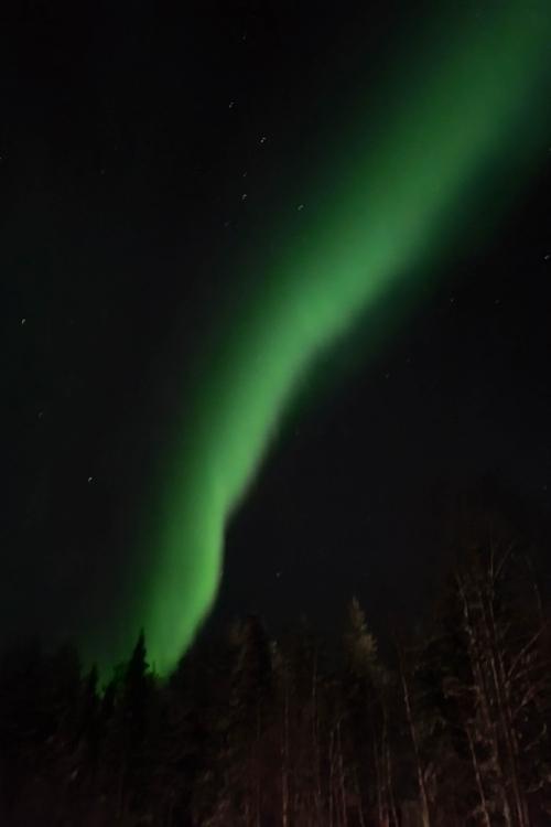 the northern lights