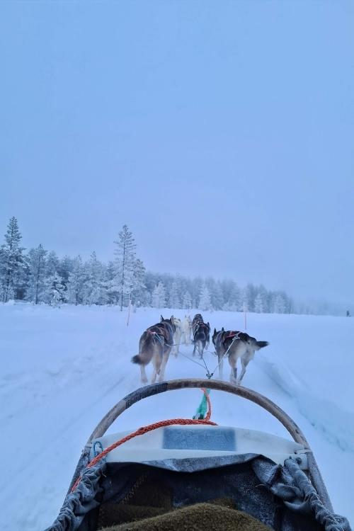 huskytoch lapland era susi