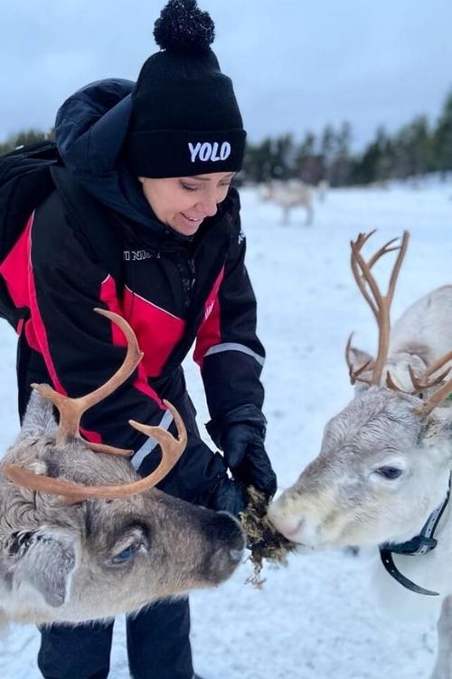 huizedop in lapland rendieren voeren