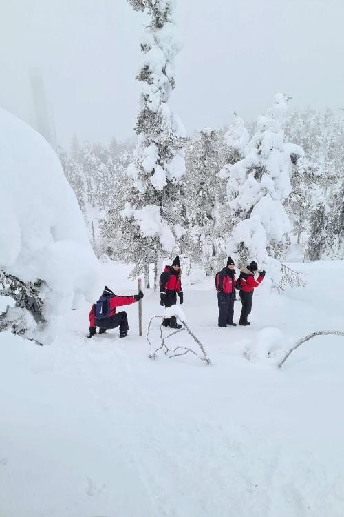 sneeuw finland lapland